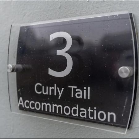 Curly Tail Accommodation Bishop's Castle Exteriér fotografie