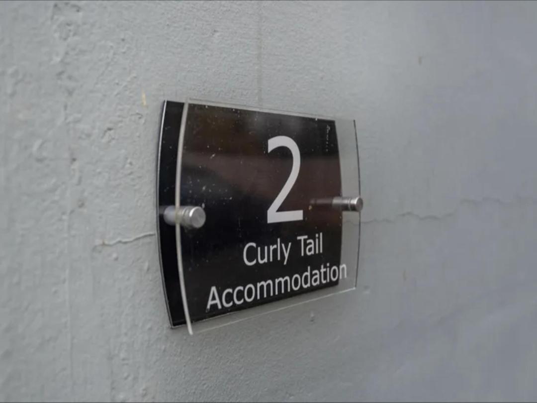 Curly Tail Accommodation Bishop's Castle Exteriér fotografie